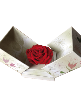 Roses préservées dans une boîte carrée