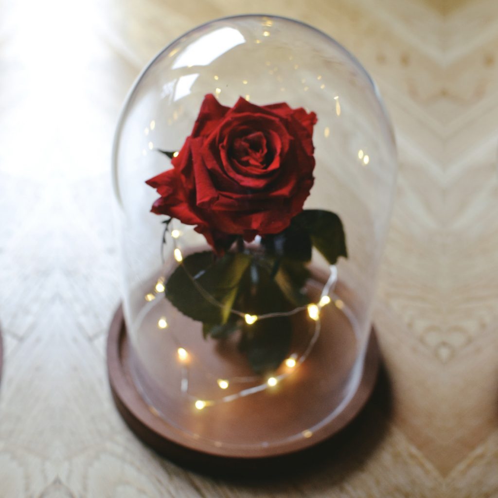 The Meaning of Roses by Colors ?
