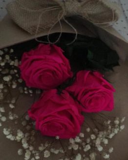 Strauß konservierter fuchsiafarbener Rosen