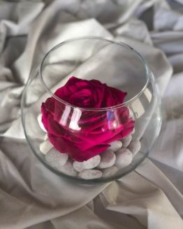 Rosas en vaso