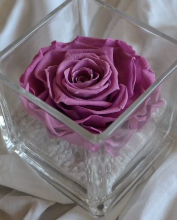 Forever Rose Rosa Eterna In Cupola Di Vetro – Vera Rosa Viola Conservata Per 3-5 Anni – Regalo Romantico Per Mamma E Lei – 22,9 Cm