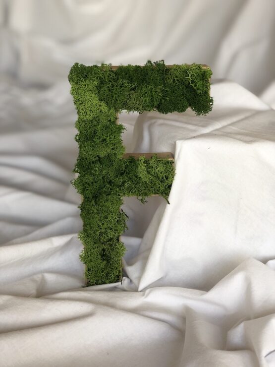 moss letters