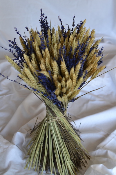 Bouquet d'épis de blé