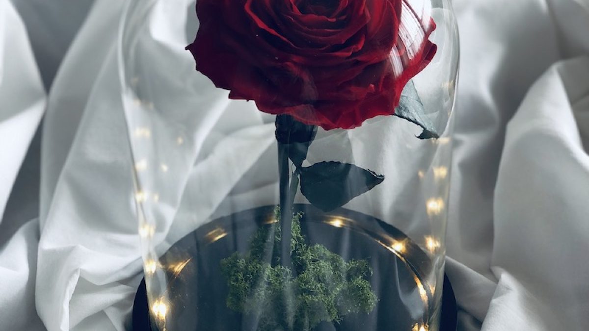 Dipinto Fai Da Te Con Numeri Per Adulti E Bambini, Con Rose In Vetro