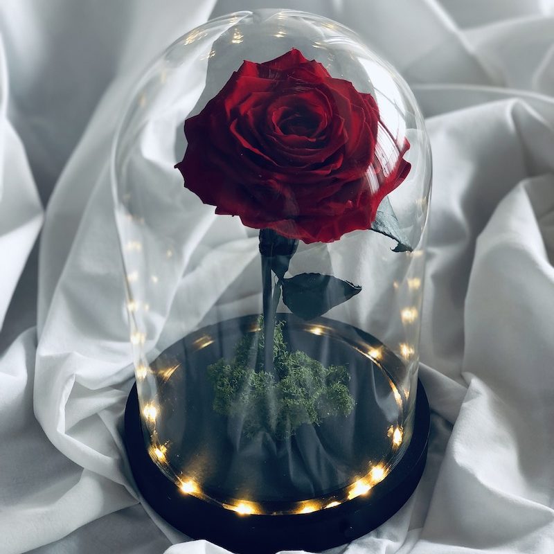 ABEUTY Dipingi Fai Da Te Con Numeri Per Adulti E Bambini, Con Rose In
